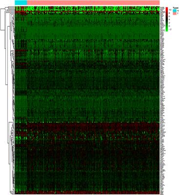 A 13-Gene Metabolic Prognostic Signature Is Associated With Clinical and Immune Features in Stomach Adenocarcinoma